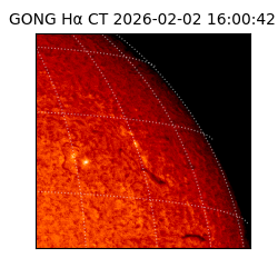 gong - 2026-02-02T16:00:42