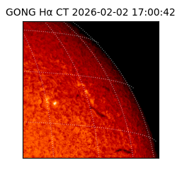 gong - 2026-02-02T17:00:42
