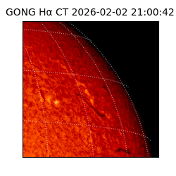 gong - 2026-02-02T21:00:42