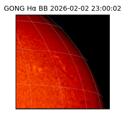 gong - 2026-02-02T23:00:02