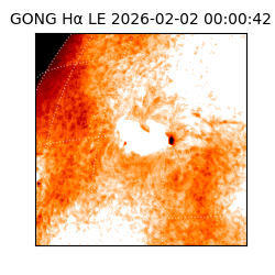 gong - 2026-02-02T00:00:42