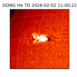 gong - 2026-02-02T11:00:22