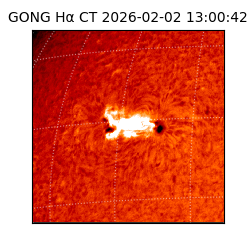 gong - 2026-02-02T13:00:42