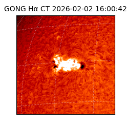 gong - 2026-02-02T16:00:42