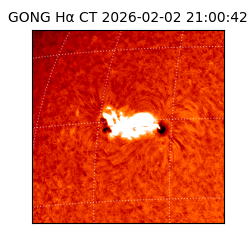 gong - 2026-02-02T21:00:42