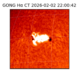 gong - 2026-02-02T22:00:42