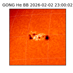 gong - 2026-02-02T23:00:02