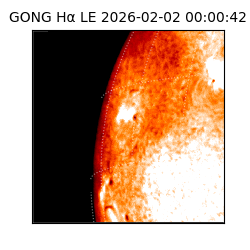 gong - 2026-02-02T00:00:42