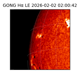 gong - 2026-02-02T02:00:42