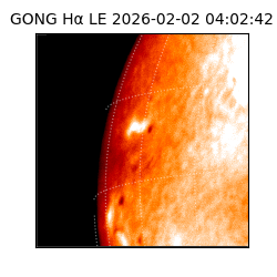 gong - 2026-02-02T04:02:42