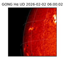 gong - 2026-02-02T06:00:02