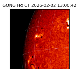 gong - 2026-02-02T13:00:42