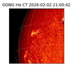 gong - 2026-02-02T21:00:42