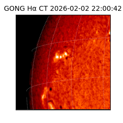 gong - 2026-02-02T22:00:42