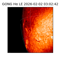 gong - 2026-02-02T03:02:42