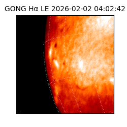 gong - 2026-02-02T04:02:42