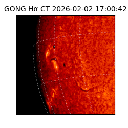 gong - 2026-02-02T17:00:42