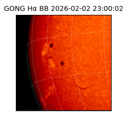gong - 2026-02-02T23:00:02