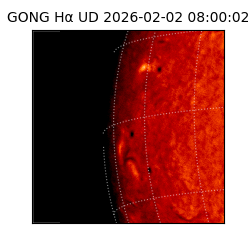 gong - 2026-02-02T08:00:02