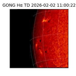 gong - 2026-02-02T11:00:22