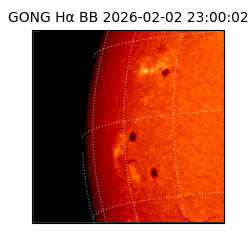 gong - 2026-02-02T23:00:02