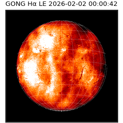 gong - 2026-02-02T00:00:42