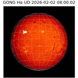 gong - 2026-02-02T08:00:02