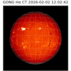 gong - 2026-02-02T12:02:42