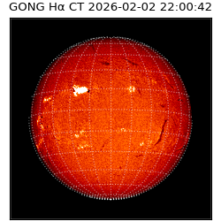 gong - 2026-02-02T22:00:42