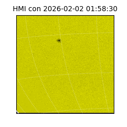 shmi - 2026-02-02T01:58:30.800000