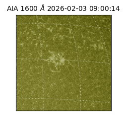 saia - 2026-02-03T09:00:14.118000