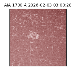 saia - 2026-02-03T03:00:28.726000