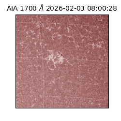 saia - 2026-02-03T08:00:28.710000