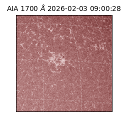 saia - 2026-02-03T09:00:28.717000