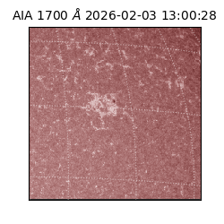 saia - 2026-02-03T13:00:28.719000