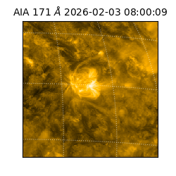 saia - 2026-02-03T08:00:09.350000