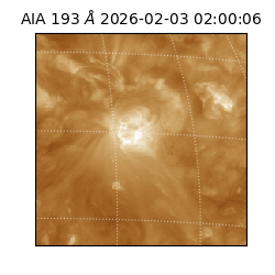 saia - 2026-02-03T02:00:06.431000