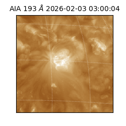 saia - 2026-02-03T03:00:04.843000