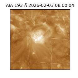 saia - 2026-02-03T08:00:04.843000