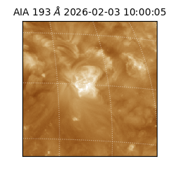 saia - 2026-02-03T10:00:05.916000