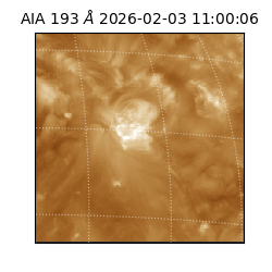 saia - 2026-02-03T11:00:06.232000