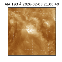 saia - 2026-02-03T21:00:40.838000