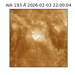 saia - 2026-02-03T22:00:04.842000