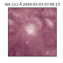 saia - 2026-02-03T07:00:13.199000