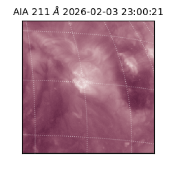 saia - 2026-02-03T23:00:21.631000