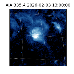 saia - 2026-02-03T13:00:00.618000