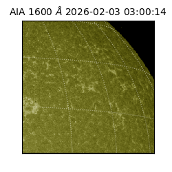 saia - 2026-02-03T03:00:14.126000