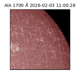 saia - 2026-02-03T11:00:28.717000