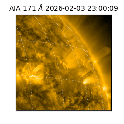saia - 2026-02-03T23:00:09.349000