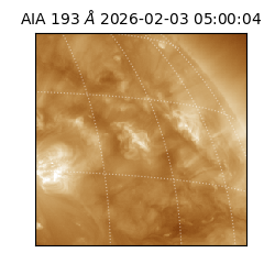 saia - 2026-02-03T05:00:04.838000